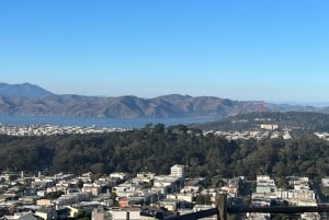 Сан-Франциско: частная обзорная экскурсия по главным достопримечательностям