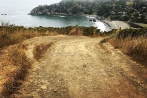 San Francisco: Tour in bicicletta su ghiaia di Marin Headlands + Ponte GG