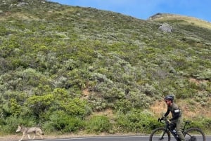 San Francisco: Tour in bicicletta su ghiaia di Marin Headlands + Ponte GG