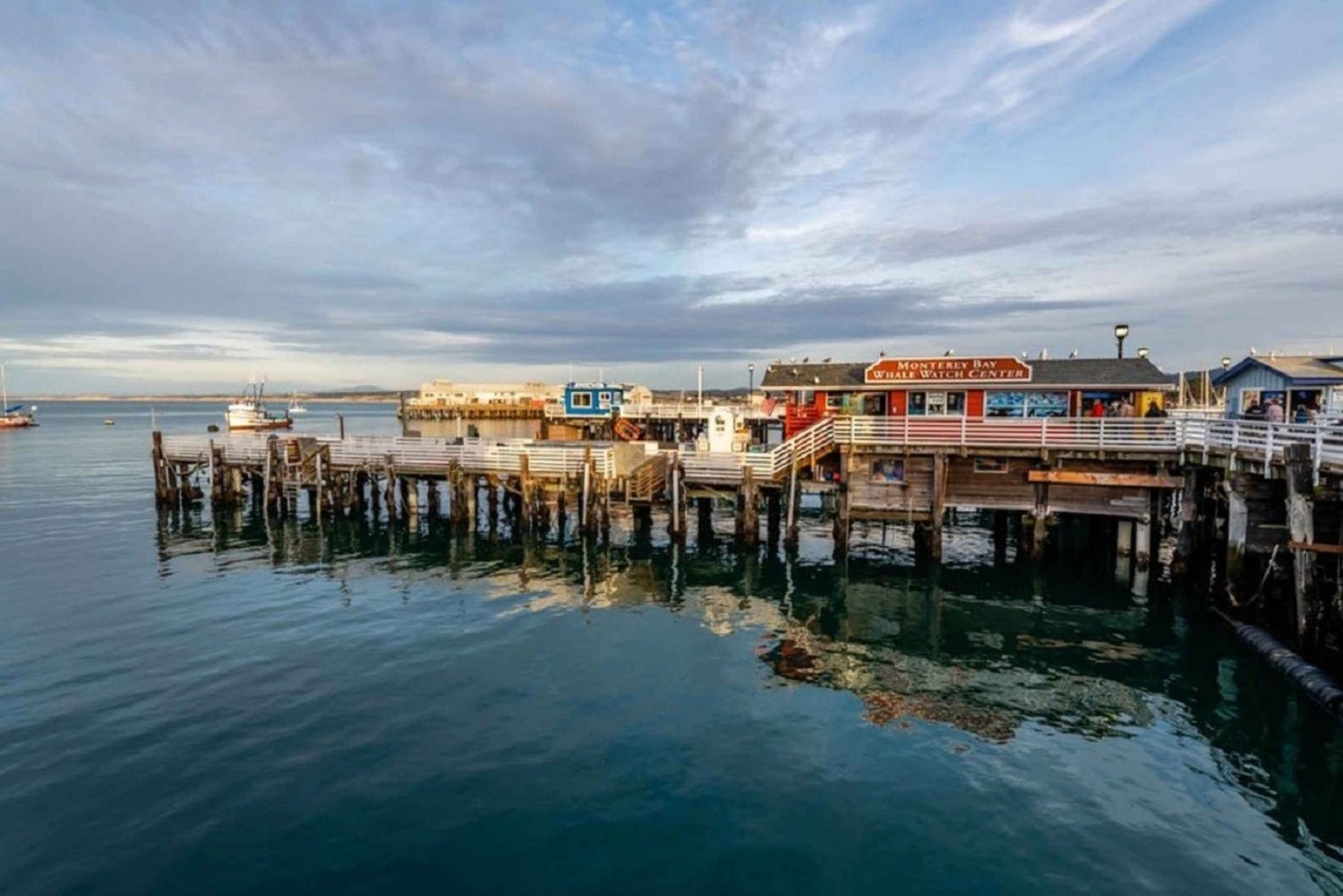 San Francisco: visite de Monterey et du Carmel