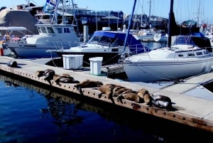 São Francisco: passeio por Monterey e Carmel