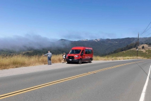 San Francisco: Muir Woods och Sausalito Startavgift ingår