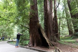 San Francisco: Muir Woods and Sausalito Entry Fee Included
