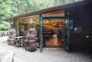 San Francisco: Muir Woods and Sausalito Entry Fee Included