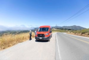 San Francisco : Muir Woods et Sausalito, frais d'entrée inclus