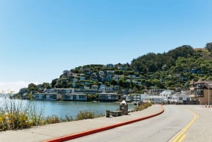 San Francisco: Tur i liten grupp till Muir Woods och Sausalito