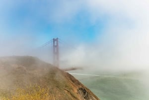 San Francisco: Omvisning i liten gruppe i Muir Woods og Sausalito