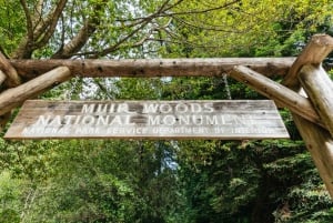 San Francisco: Tur med en lille gruppe i Muir Woods og Sausalito