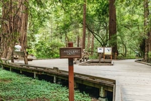 San Francisco: Omvisning i liten gruppe i Muir Woods og Sausalito