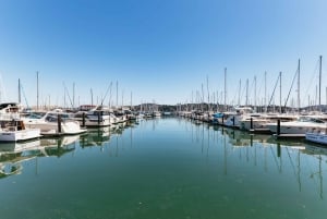 San Francisco: Omvisning i liten gruppe i Muir Woods og Sausalito