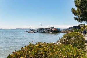 San Francisco: Tur i liten grupp till Muir Woods och Sausalito