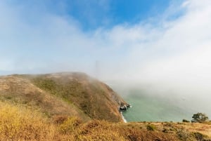 San Francisco: Tur med en lille gruppe i Muir Woods og Sausalito