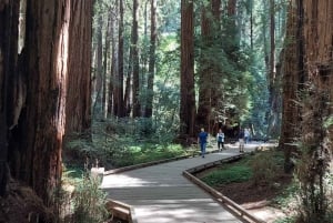 San Francisco: Muir Woods og Sausalito tur for små grupper