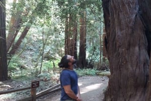 San Francisco: Muir Woods en Sausalito Tour in kleine groep