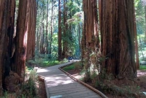 San Francisco: Muir Woods ja Sausalito Pienryhmäretki: Muir Woods ja Sausalito Small Group Tour