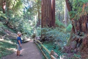 San Francisco: Muir Woods and Sausalito Small Group Tour