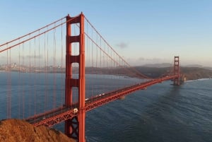 San Francisco: Muir Woods und Sausalito Kleingruppentour