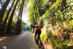 San Francisco: Muir Woods Cycling Tour (vei og/eller grus)