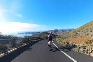 São Francisco: Passeio de bicicleta em Muir Woods (estrada e/ou cascalho)