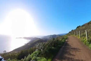 São Francisco: Passeio de bicicleta em Muir Woods (estrada e/ou cascalho)