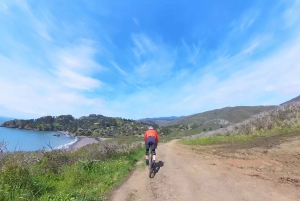 São Francisco: Passeio de bicicleta em Muir Woods (estrada e/ou cascalho)