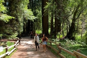 San Francisco: Muir Woods Giant Redwoods & City Private Tour