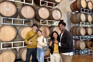 Discover Muir Woods, Napa, and Sonoma Valley on a Wine Tour