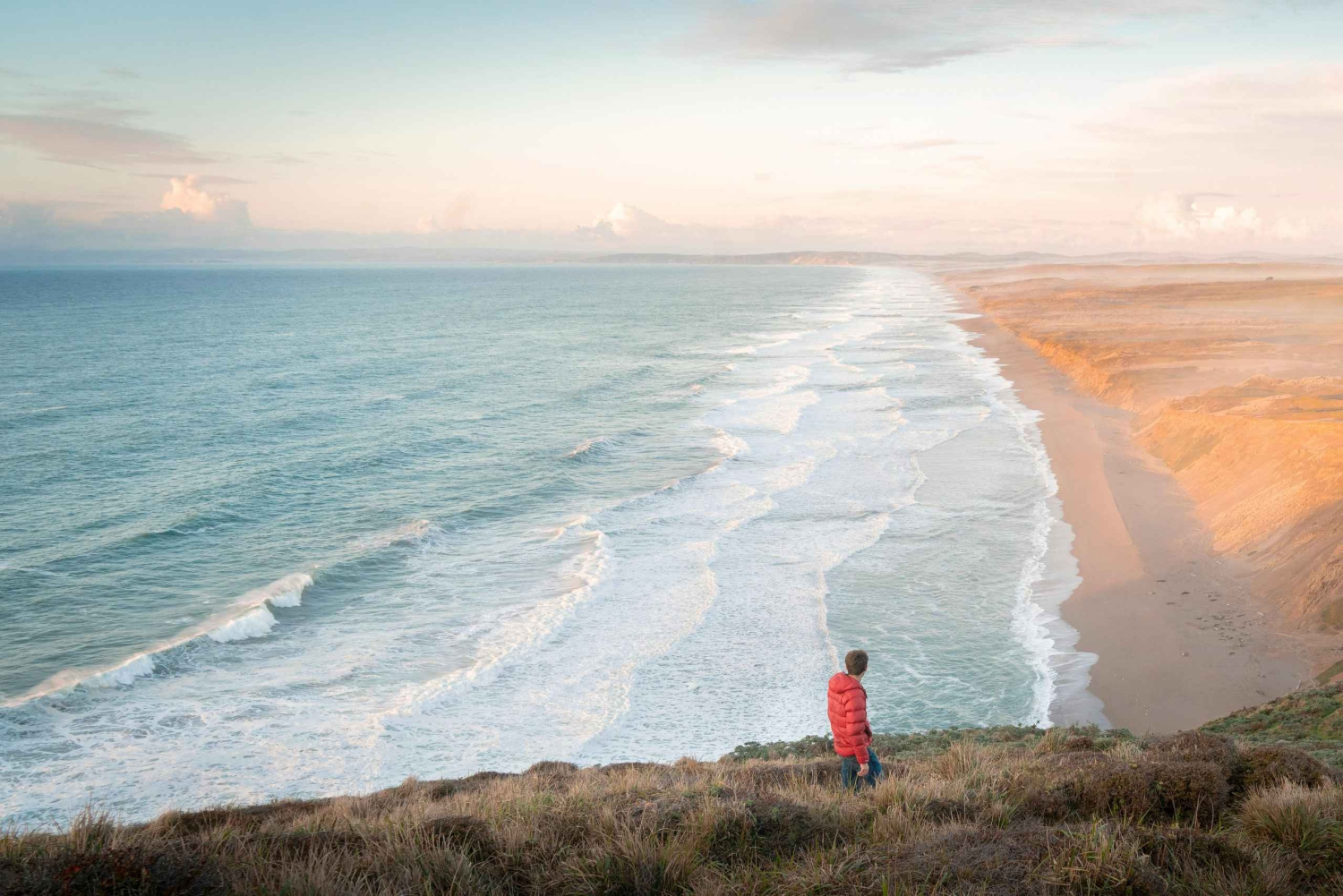 Сан-Франциско: Экскурсия в Муир Вудс, Пойнт Рейс и медоварню
