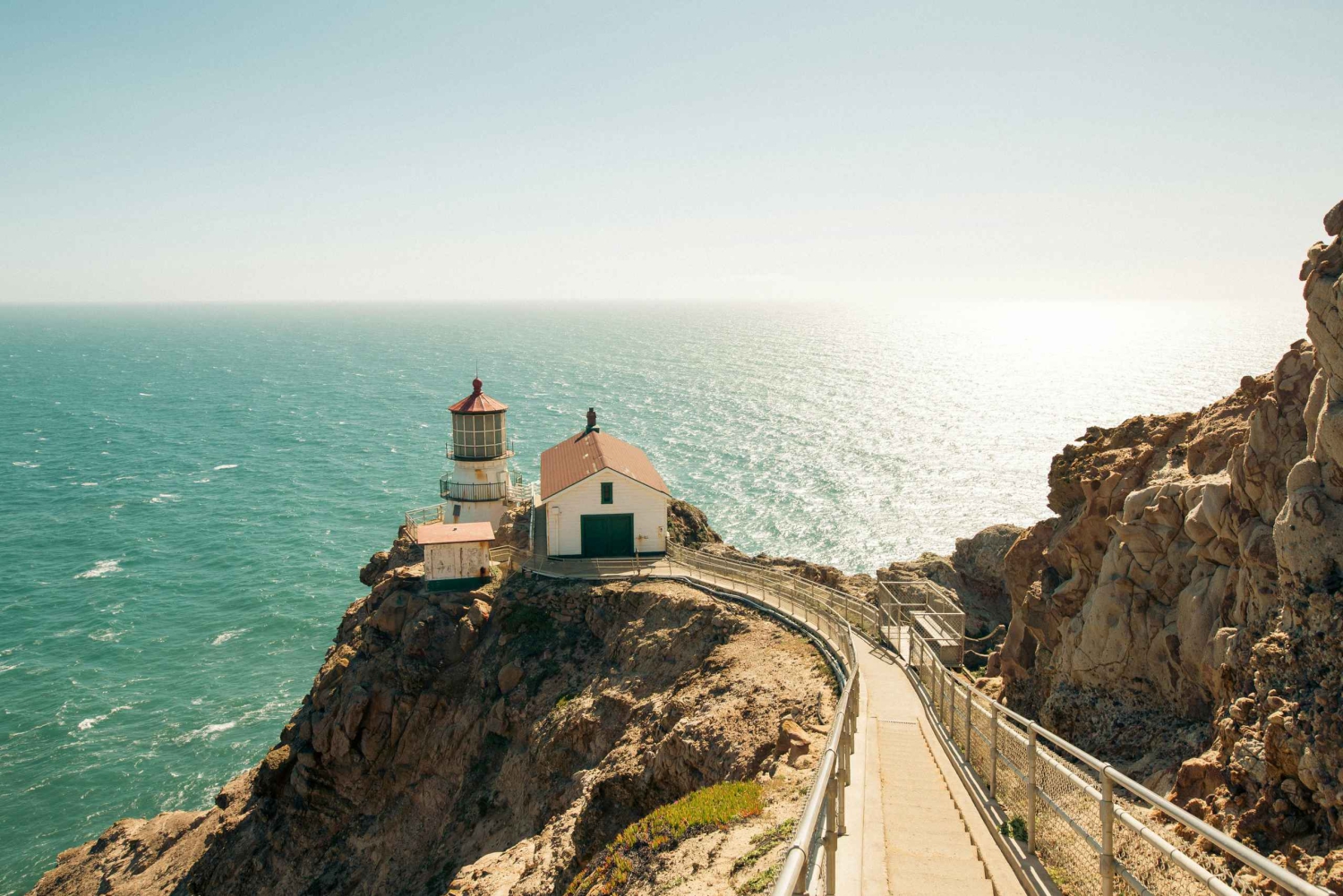 Сан-Франциско: Экскурсия в Муир Вудс, Пойнт Рейс и медоварню