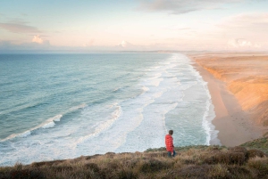 Сан-Франциско: Экскурсия в Муир Вудс, Пойнт Рейс и медоварню