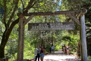 サンフランシスコ＆ミュアウッズ国定公園プライベート1日ツアー