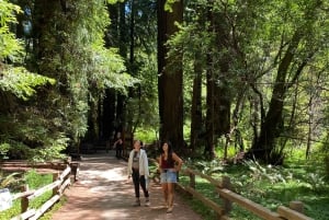 サンフランシスコ＆ミュアウッズ国定公園プライベート1日ツアー