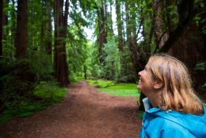 San Francisco: Muir Woods Redwood Forest and Sausalito Tour
