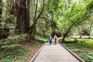 San Francisco: Wine Country Tastings Tour with Muir Woods