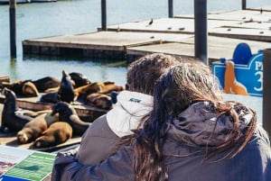 San Francisco: Muir Woods, San Francisco und Sausalito Tour