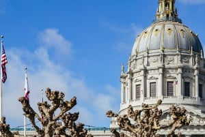 São Francisco: Excursão a Muir Woods, São Francisco e Sausalito