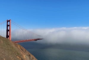 São Francisco: Visita a Alcatraz com Muir Woods e Sausalito