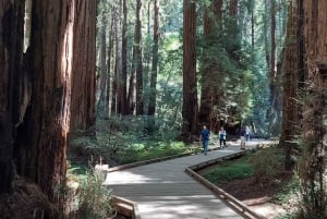 San Francisco: Muir Woods, Sausalito i nocna wycieczka do Alcatraz