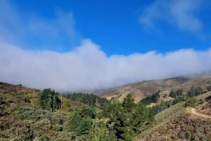 San Francisco: Muir Woods, Sausalito i nocna wycieczka do Alcatraz