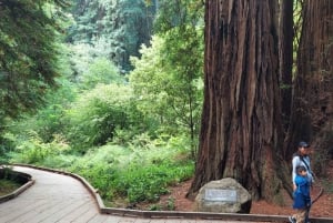 San Francisco: Muir Woods, Sausalito og omvisning om kvelden på Alcatraz