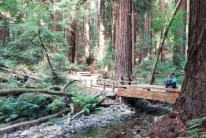 San Francisco: Muir Woods, Sausalito i nocna wycieczka do Alcatraz