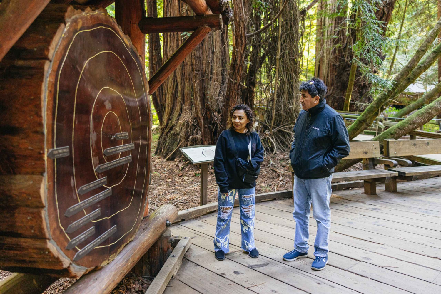 São Francisco: Cruzeiro em Muir Woods, Sausalito e SF Bay