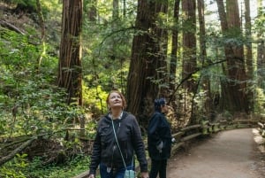 San Francisco: Muir Woods, Sausalito und SF Bay Cruise