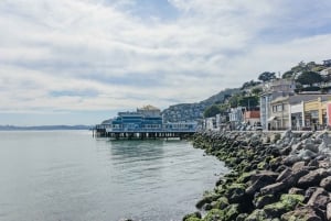 San Francisco: Muir Woods, Sausalito and SF Bay Cruise