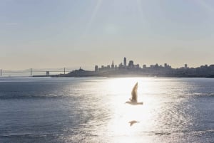 San Francisco : Muir Woods, Sausalito et croisière dans la baie de SF