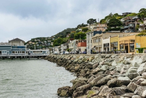 São Francisco: Cruzeiro em Muir Woods, Sausalito e SF Bay