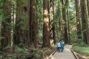São Francisco: Cruzeiro em Muir Woods, Sausalito e SF Bay