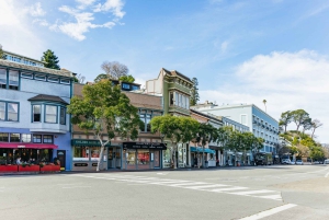 São Francisco: Cruzeiro em Muir Woods, Sausalito e SF Bay