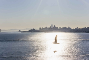 São Francisco: Cruzeiro em Muir Woods, Sausalito e SF Bay