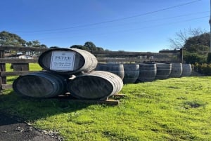 San Francisco: Tour dei vini di Muir Woods, Sausalito e Sonoma